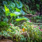 Botanical-Gardens-1-1024×678