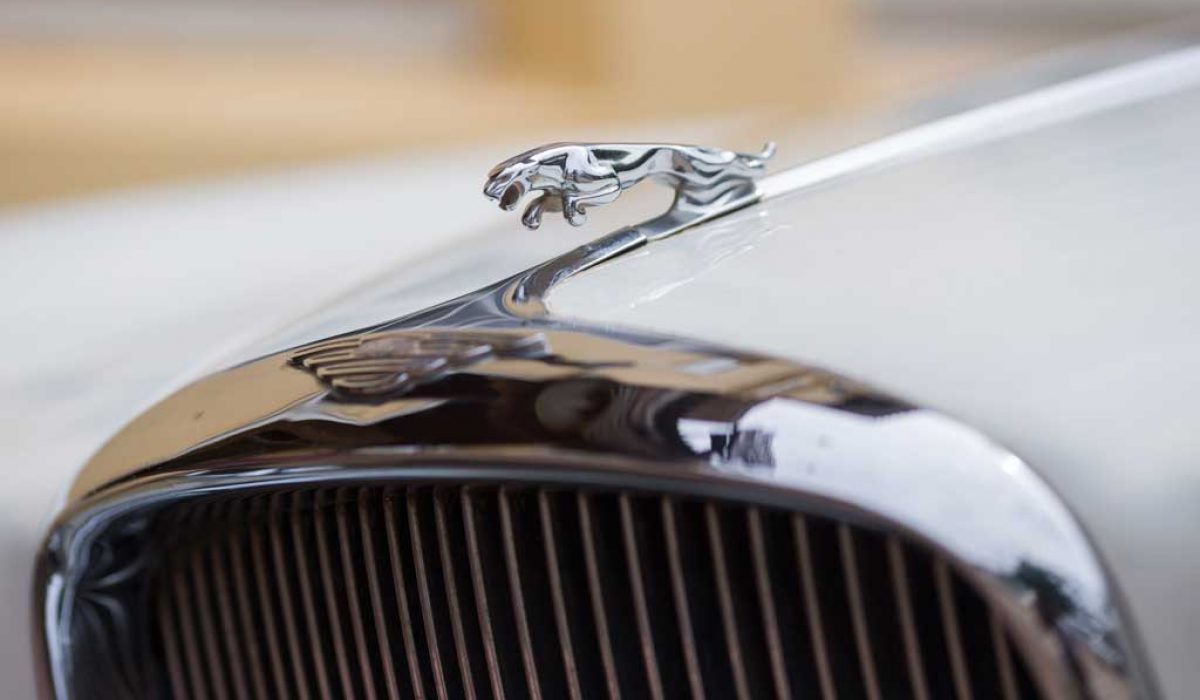 Destined for greatness: Laos’ first Jaguar