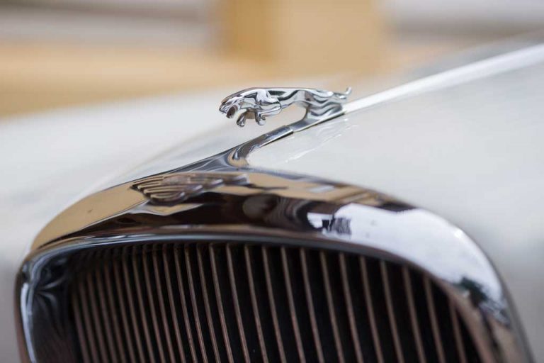 Destined for greatness: Laos’ first Jaguar