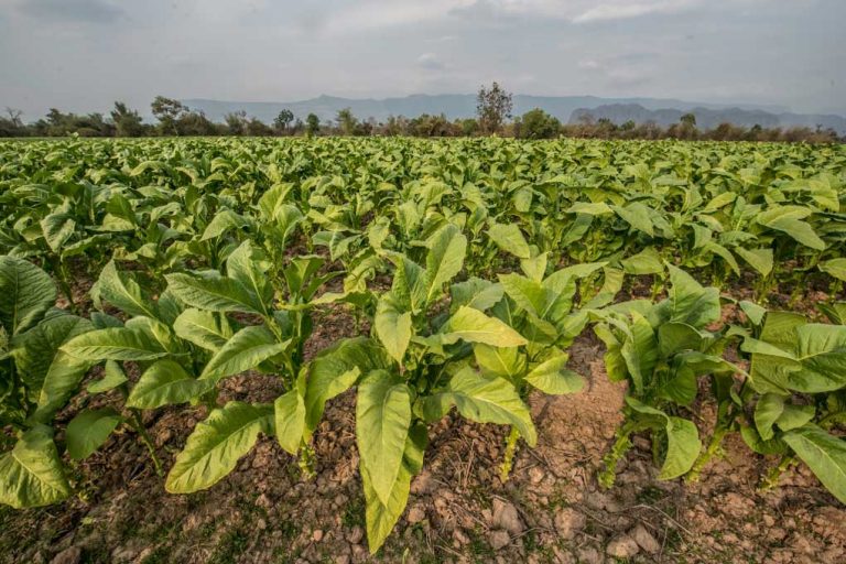 A simple solution to a simple problem