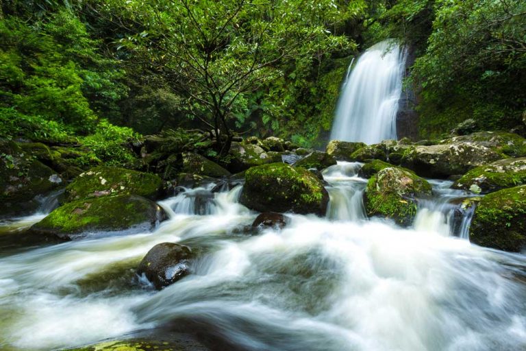 Upcountry Escape