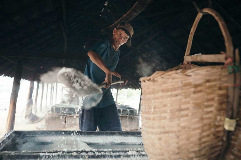 (English) Salt of the Earth