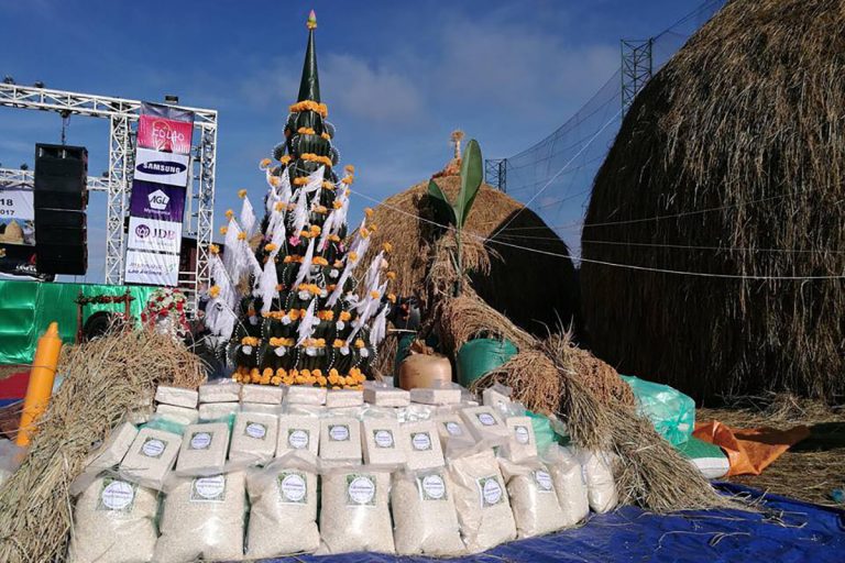 (English) What’s On