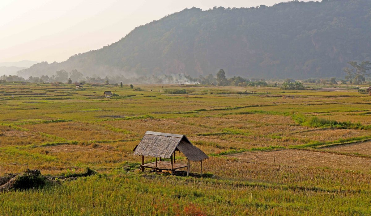 (English) Life & Nature in Luang Namtha