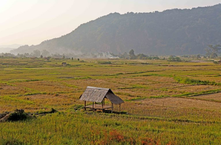 Life & Nature in Luang Namtha