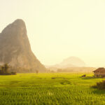 _DSC3785 copy