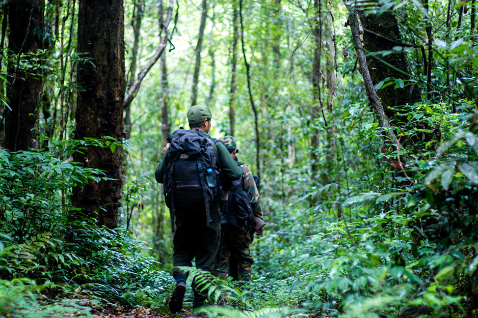 Nam Et-Phou Louey National Park – The Heart of NorthEast Laos