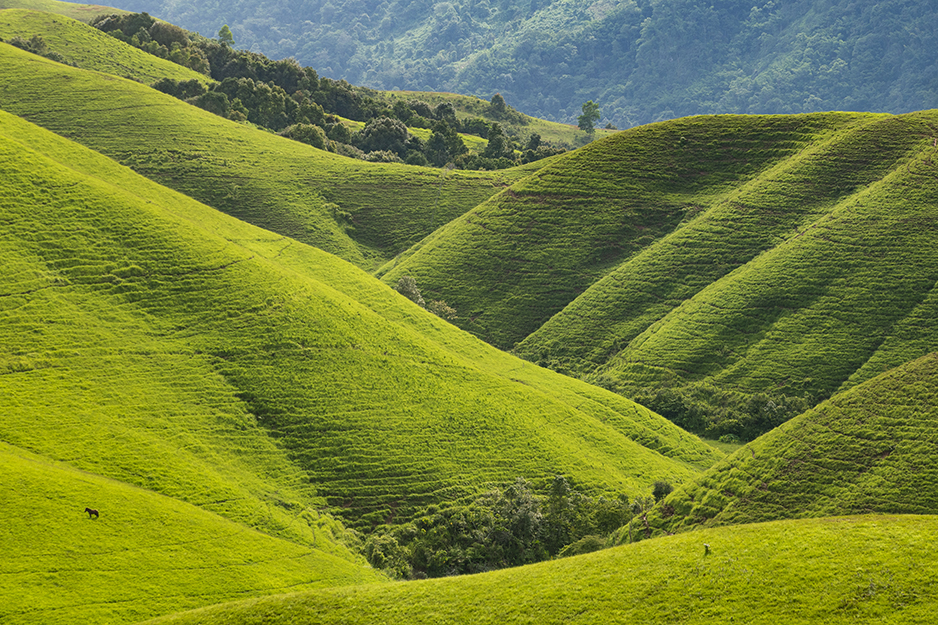 Travel off The Beaten Path in Laos – Champa Meuanglao