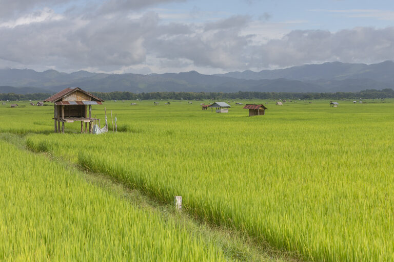 River Deep Mountain High