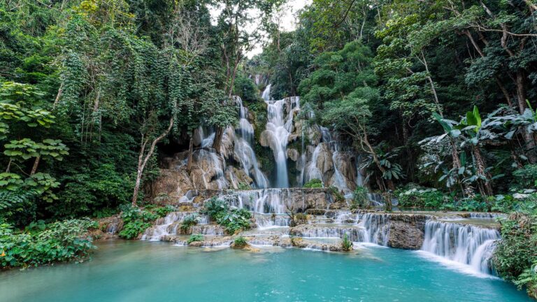 Lasting Laos Certification