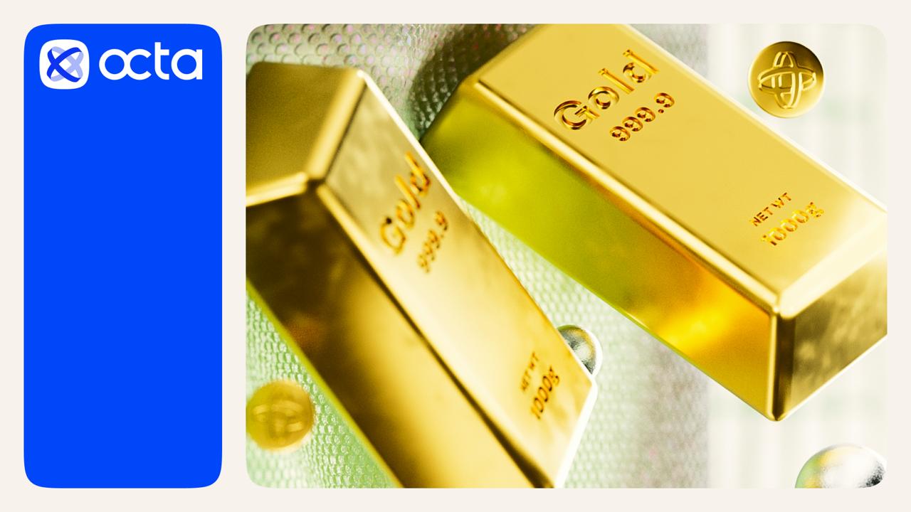 Octa Broker