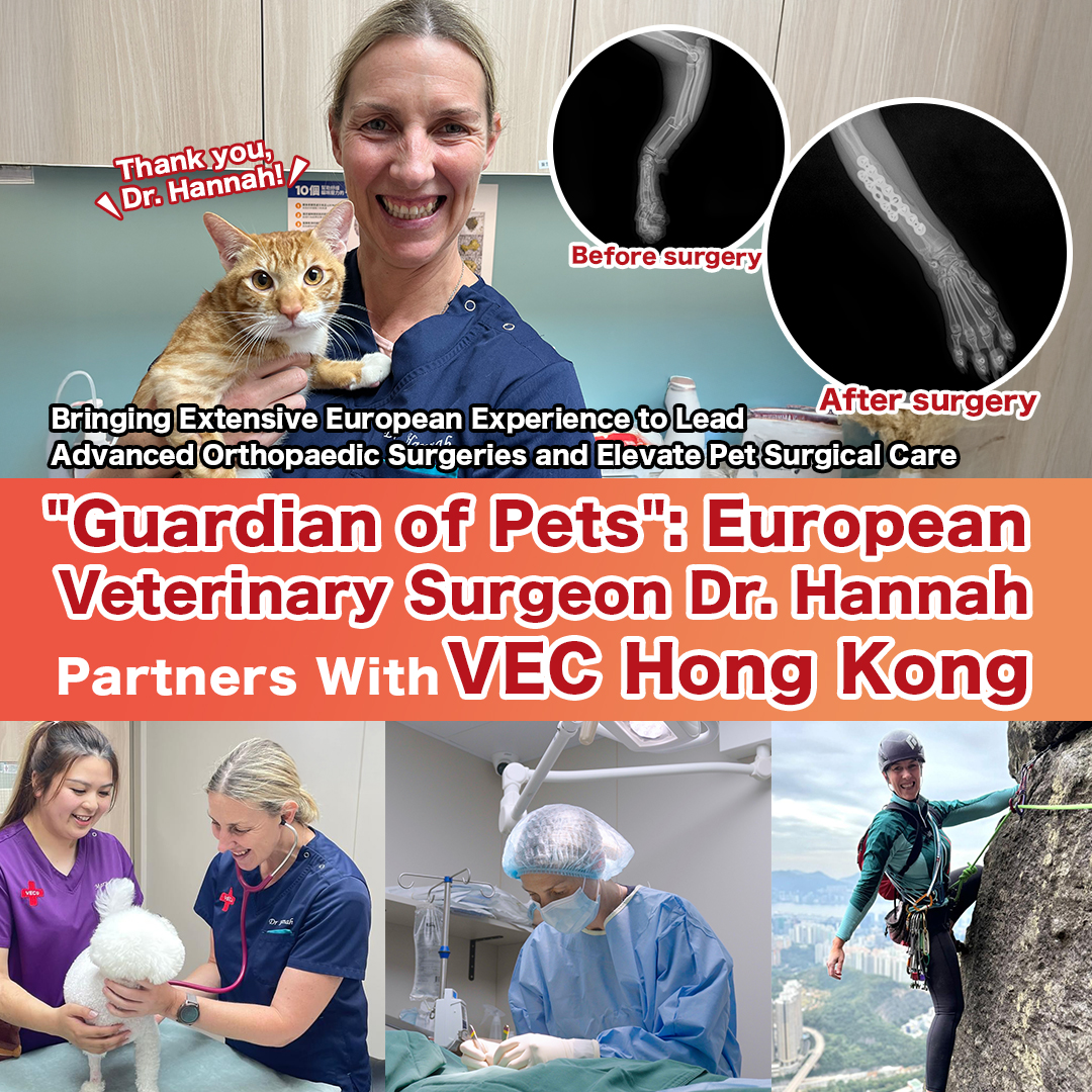 "Veterinary Orthopedic Guardian": European Veterinary Surgeon Dr. Hannah Partners With VEC Hong Kong. Bringing Extensive European Experience to Lead Advanced Orthopaedic Surgeries and Elevate Pet Surgical Care.