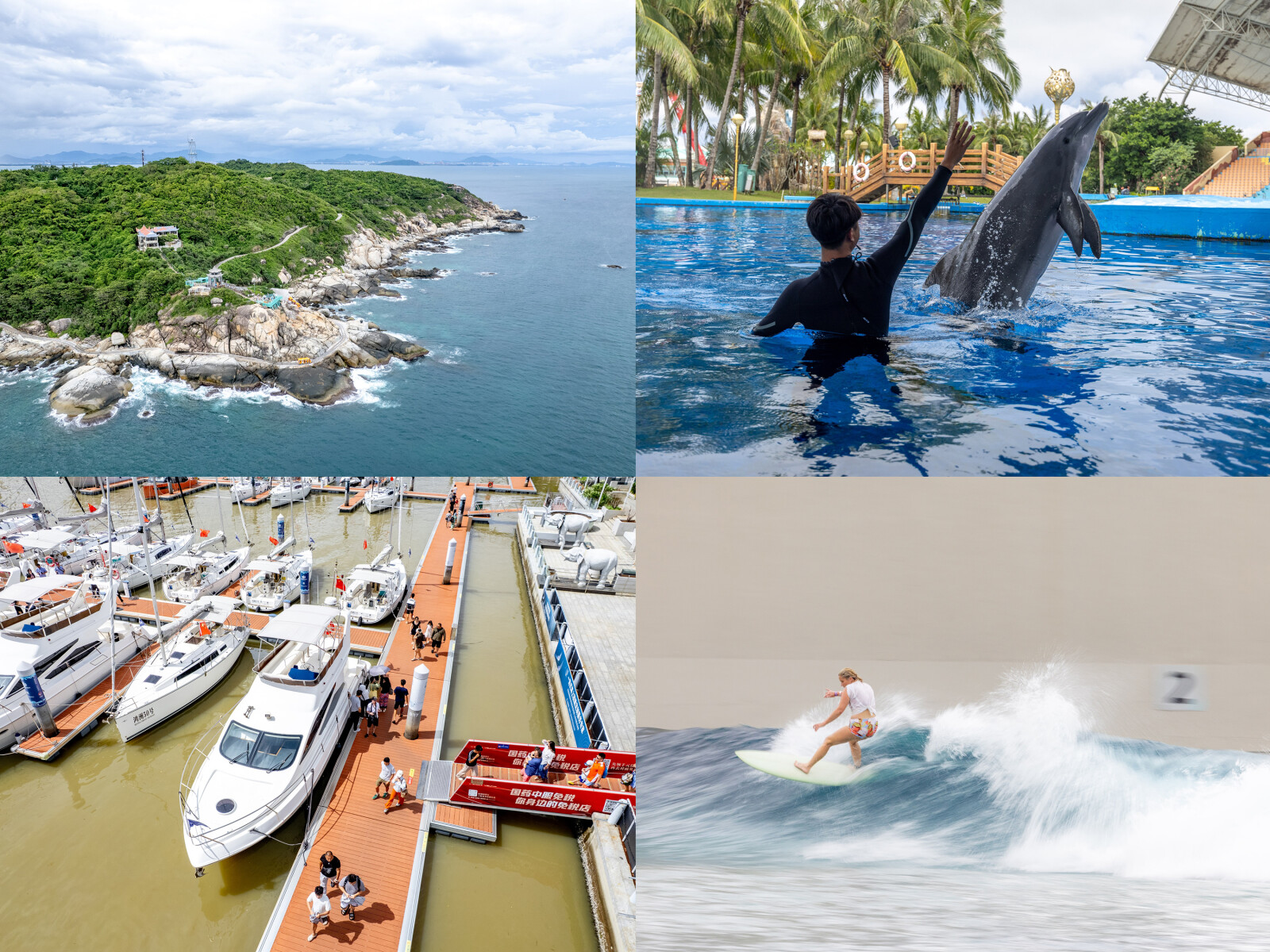 Caption: Global Media Explore Hainan Free Trade Port, Unlocking the New Vitality of the "Ocean Economy"