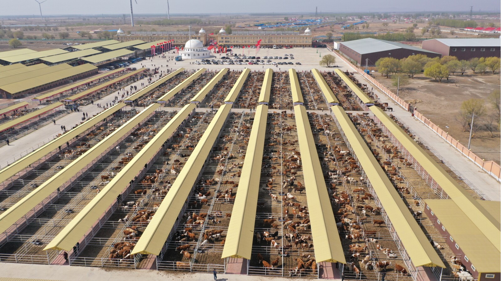 Hinggan League Hong'an Damiao Cattle and Sheep Trading Market