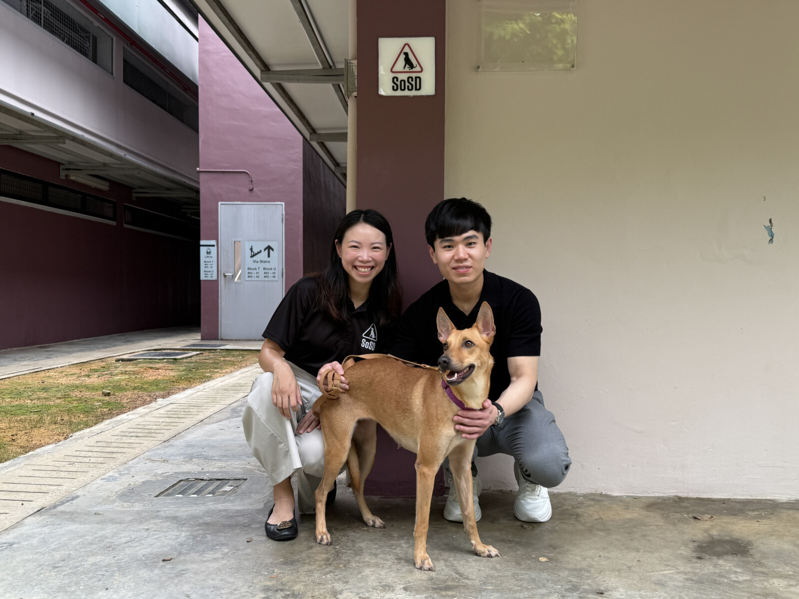 Dr Ian Tan, Founder and Medical Director of V Aesthetics Holdings and May Ngu, President of SOSD with Mira, a dog under SOSD's care