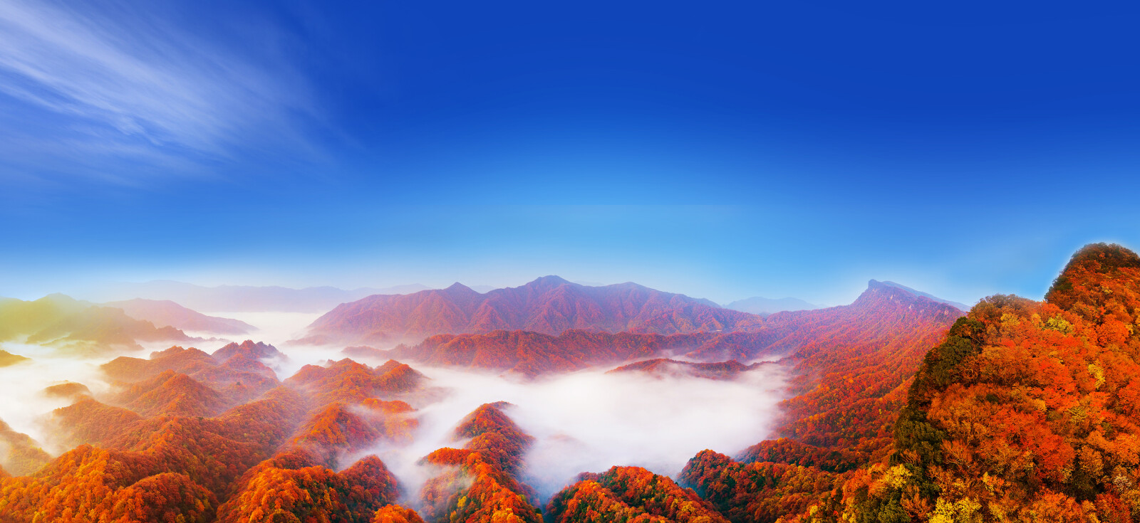 Sweeping red leaf scenery across Guangwu Mountain