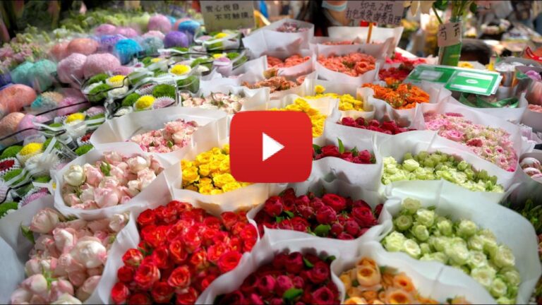 Asia’s premier flower hub sets new benchmarks in trading scale and logistics efficiency