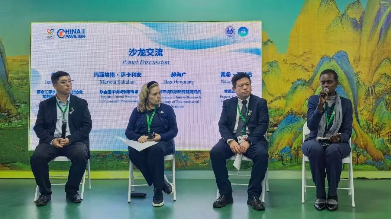 Experts delivering presentation during a panel discussion